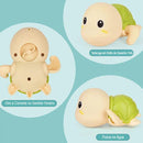 Tartaruga Aquática Interativa