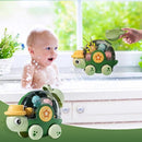 Tartaruga Aquática Interativa