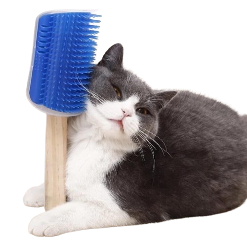 Massageador com Catnip para Gatos