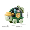 Tartaruga Aquática Interativa