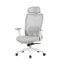 Cadeira Ergonômica Elements Astra Pro