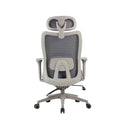 Cadeira Ergonômica Elements Astra Pro