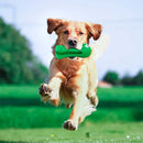 Brinquedo para Cães Jacaré Mordedor Limpeza Dental