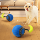 Cat Tazzy 2.0 Bigodinhos