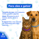 Colar Anti Pulgas e Carrapatos