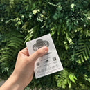 Mini Disco Voador SpinGo VND® - QUEIMA DE ESTOQUE 🔥