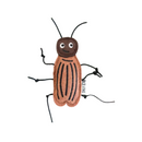 Brinquedo Inseto Gigante de Pelúcia com Catnip para Gatos