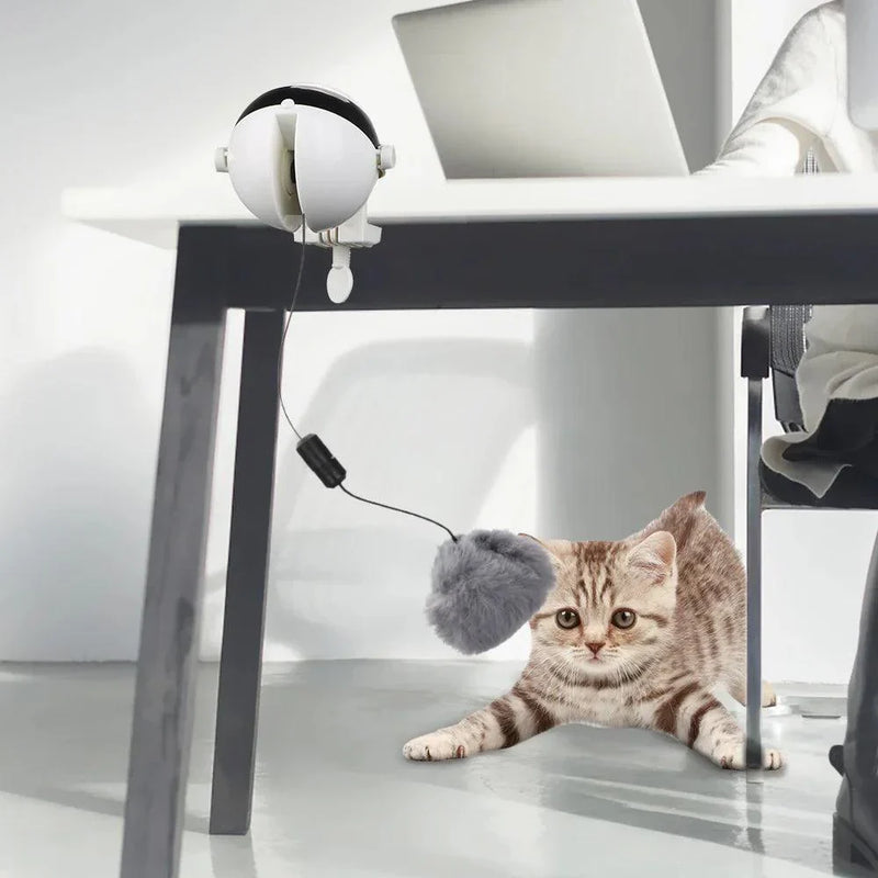Brinquedo para Gatos - Automático