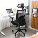 Cadeira Ergonômica Elements Astra Pro