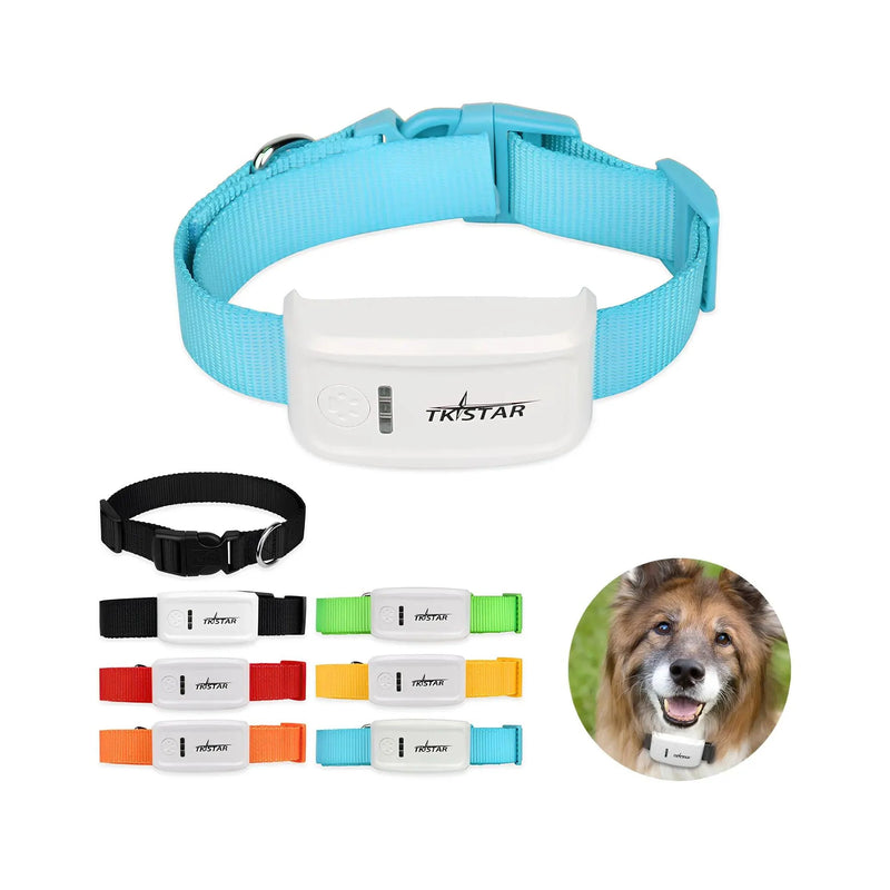 Coleira Rastreadora para Pets - Com GPS de Alta Precisão e Monitoramento em Tempo Real