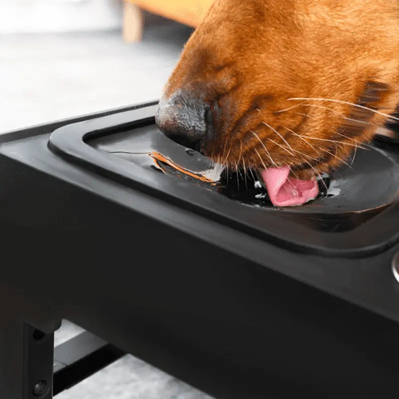 Comedouro e Bebedouro Elevado Ajustável para Cães e Gatos - Tigelas Inox