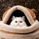 Mochila de Pelúcia para Transporte de Gatos